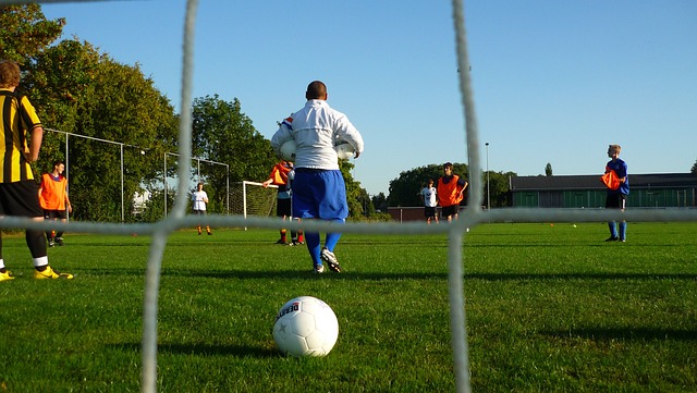 布朗这对双 布朗这对双