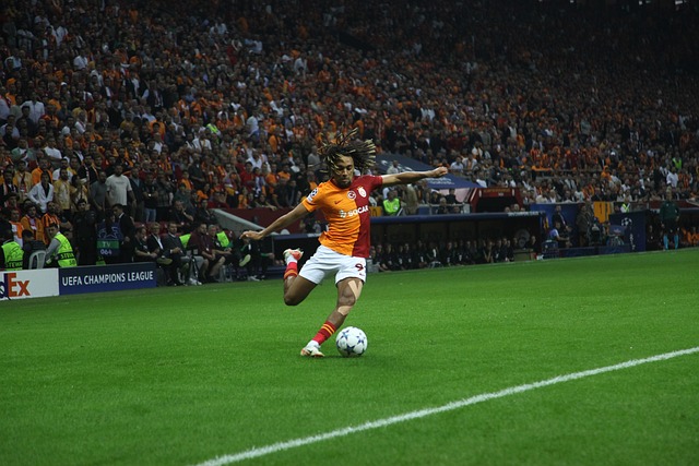 星光熠熠的 星光熠熠的