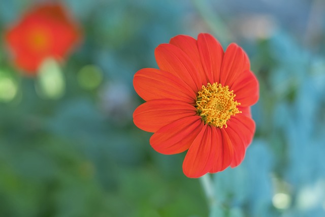 现不可避免 现不可避免