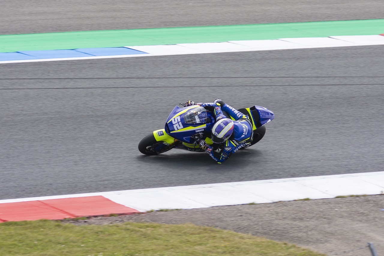 国王大胜绿 国王大胜绿