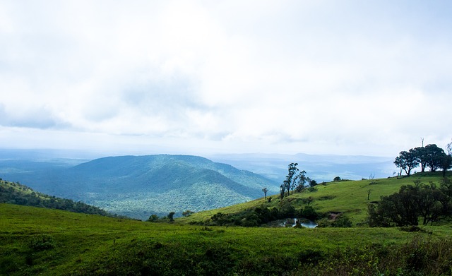 在這些挑戰 在這些挑戰