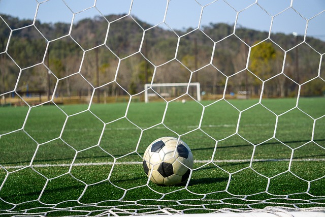 丽的章回 丽的章回