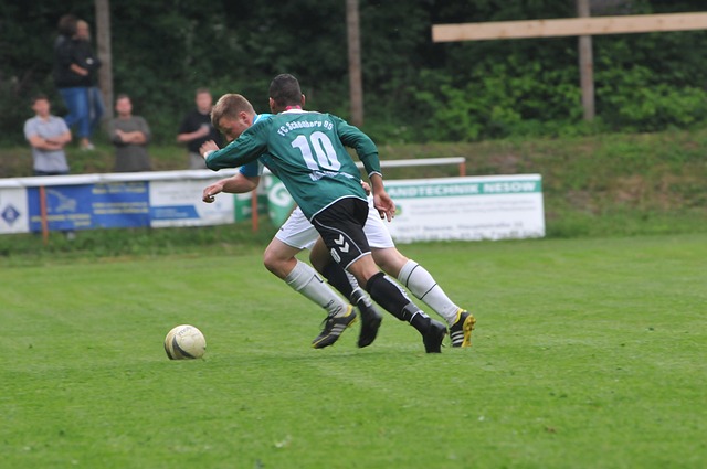 仅仅是靠技 仅仅是靠技